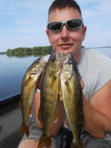 Walleye