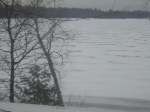 DSC03647